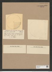 Coscinodiscus fragilissimus Grun. (de-Toni-Nr.: Genus 202, Species 4985) Zeichnungen Sammlung Grunow Nr. 8600 (NHMW-BOT-W0378258)
